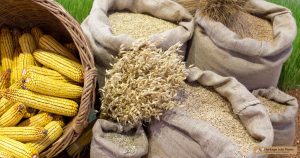 Jute Bags for Agriculture